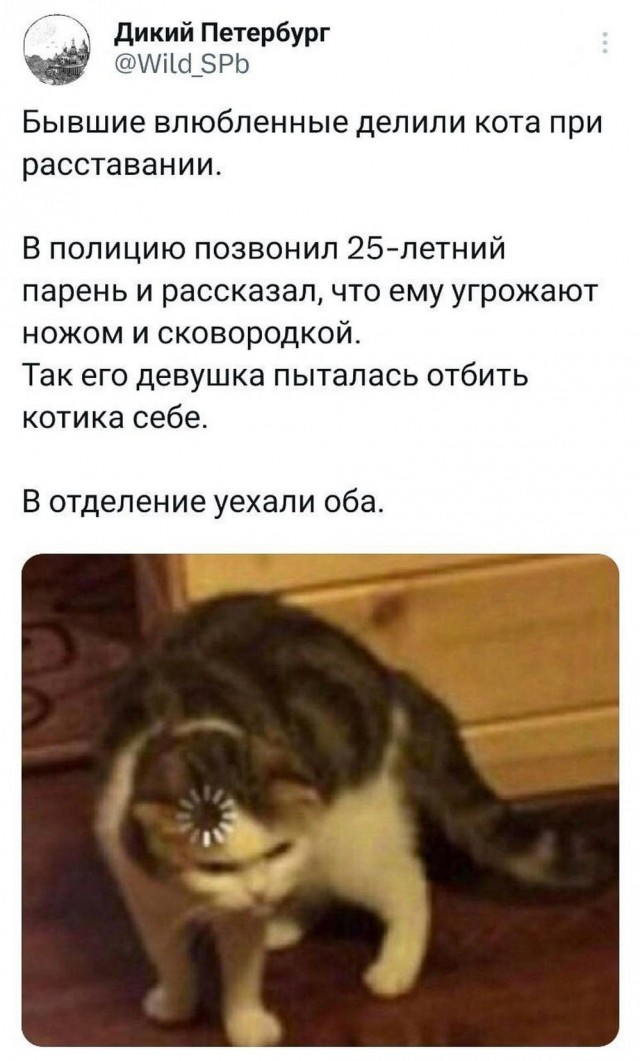 Забавные комментарии из социальных сетей (18.09.23)