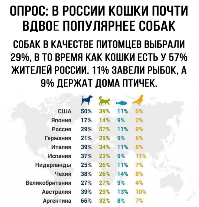 Разная всячина из жизни