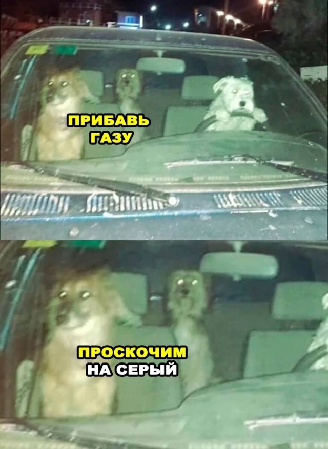 Наглядно о том, как видят дальтоники