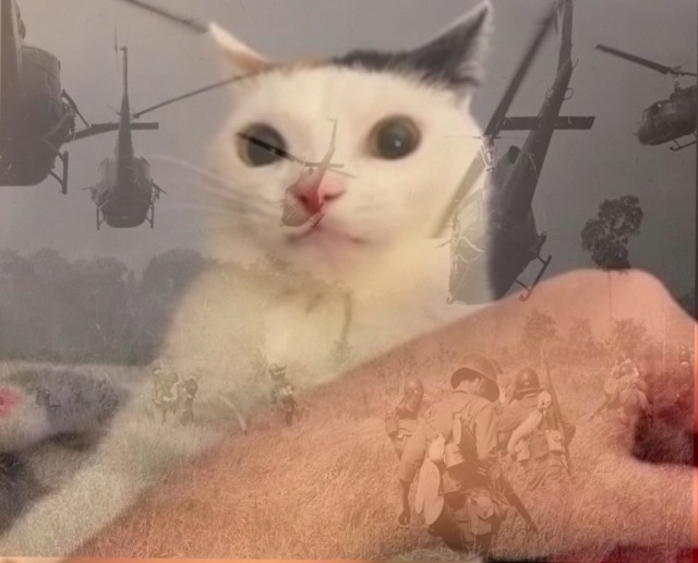 Кошка решила сделать "кусь" и затупила
