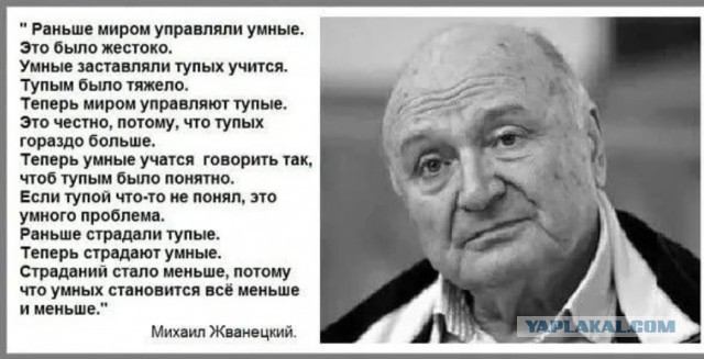 «Укус спровоцирован»: мэр Магадана прокомментировал ЧП с нападением собак на женщину