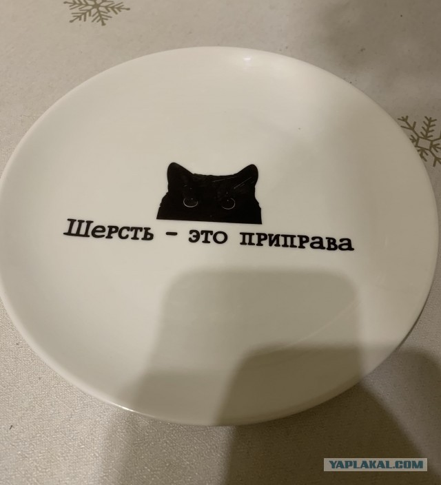 Когда кот ревнует