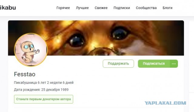 Чё дальше-то делать