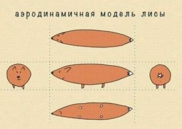 Быстрая деградация