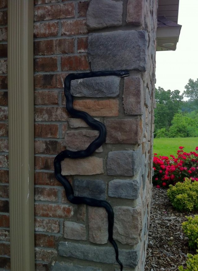 Вышел утром на крыльцо