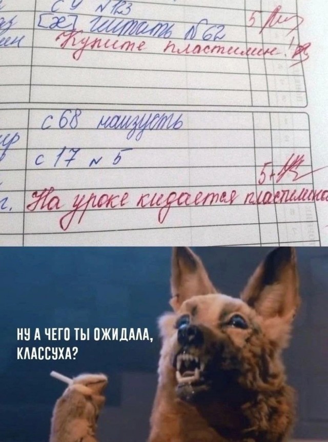 Веселые картинки к понедельнику (14.10)