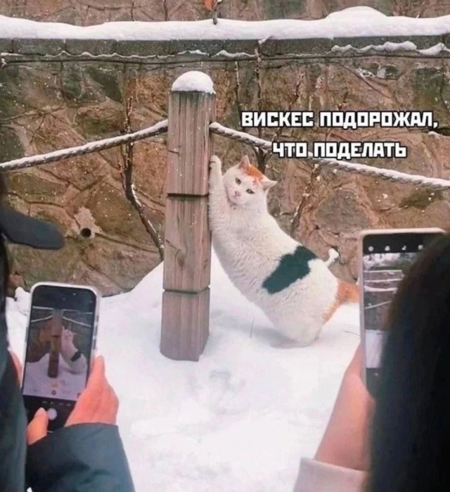 Так себе картинки 29.12.24
