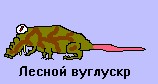 Маленькая пятница 05.03.25
