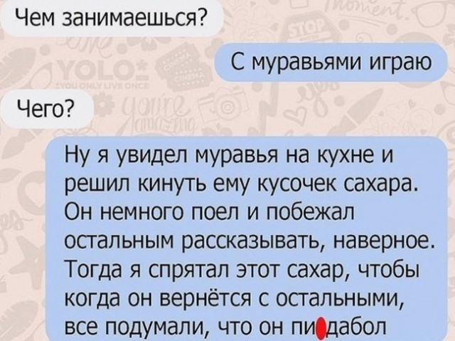 Так себе картинки 06.05.25