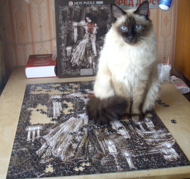 Ликбез по кошачьим породам.