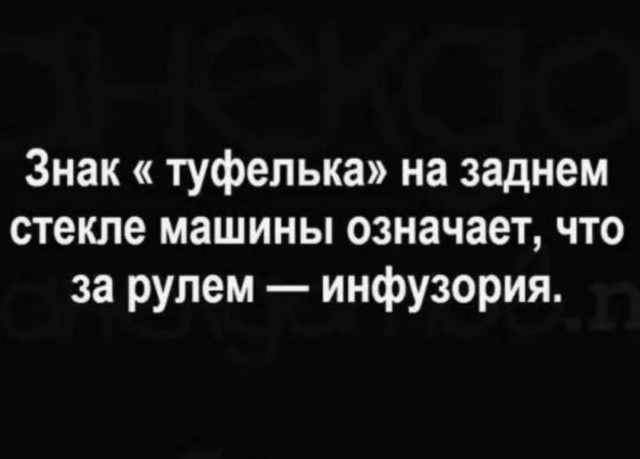 Смешные картинки с надписями и планы на лето 2025