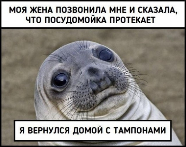 Пятничная дичь