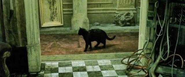 Кот в матрице