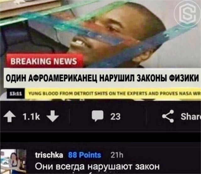 Пора деградировать. Дичь