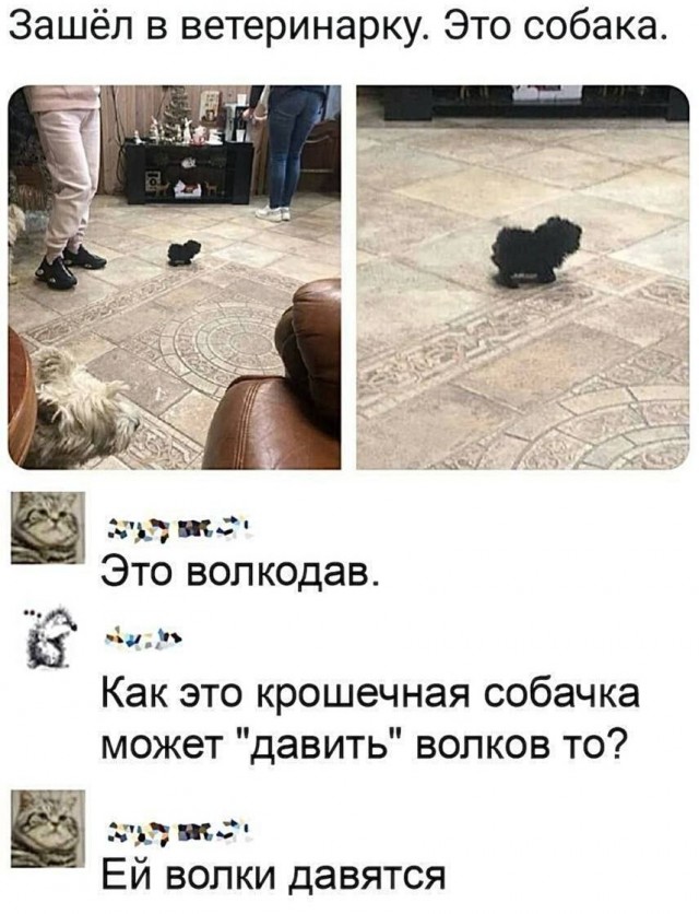 Волкодав