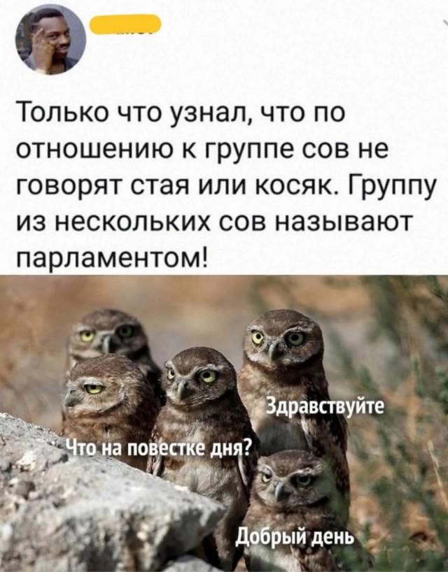 Прикольные и просто красивые картинки 18.07.2025