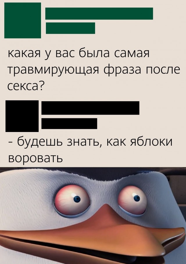 20370057.jpg