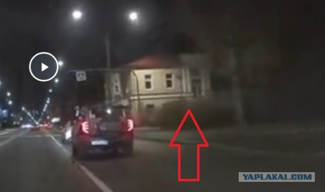 Сдал нарушителя патрулю ДПС