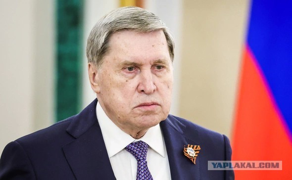 Ушаков отреагировал на публикацию расшифровки разговора с Уиткоффом