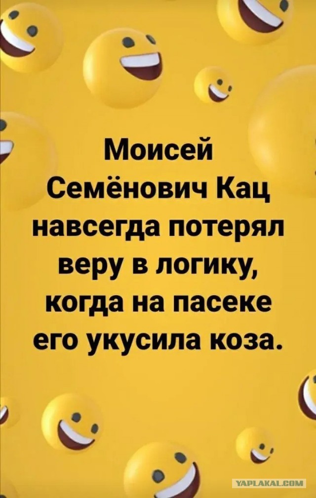 Картинки для деградации 95 (разной степени свежести)