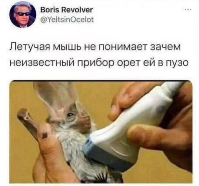 Картинки для деградации 115 (разной степени свежести)
