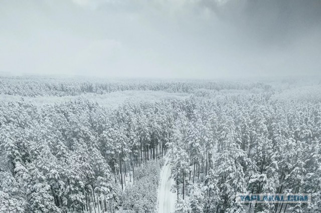 Финал зимы. Долгосрочный прогноз погоды на февраль 2026 г.