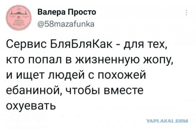 Картинки для деградации 138 (разной степени свежести)