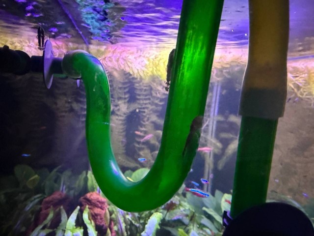 Может аквасреду введем?