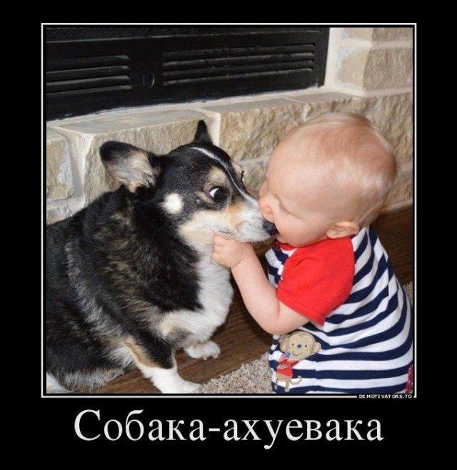 Мемы 30 штук к понедельнику