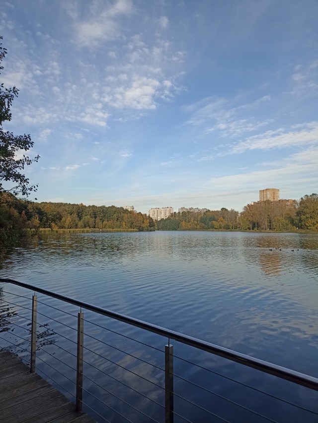 Все краски осени