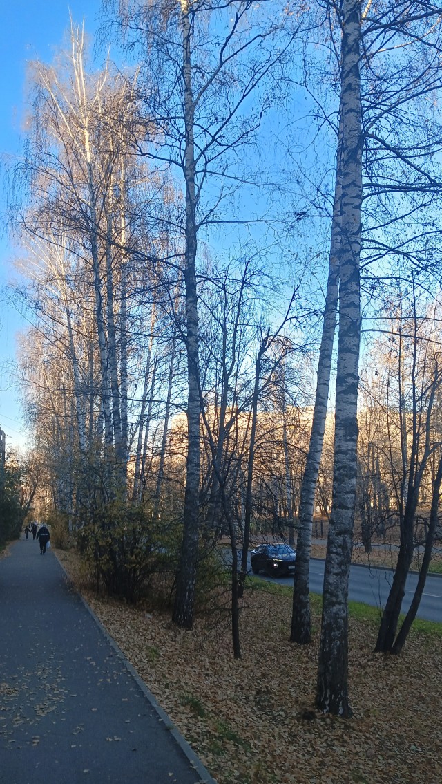 Красивой осени моменты