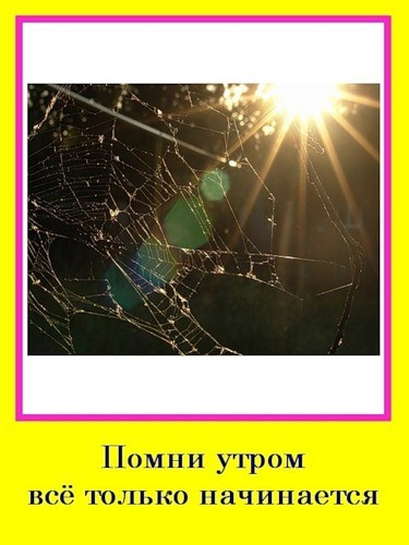 Утренние мотиваторы!