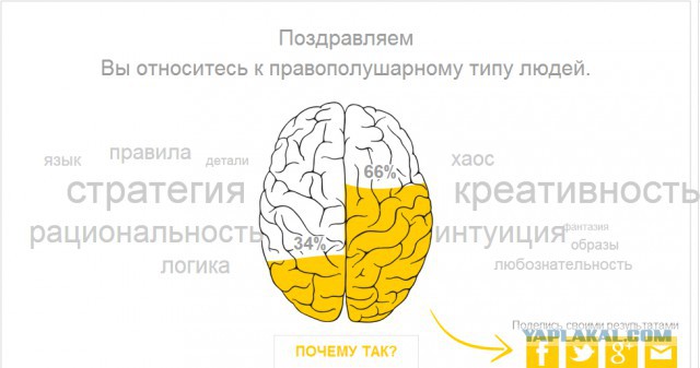 Тест - Левое или Правое.