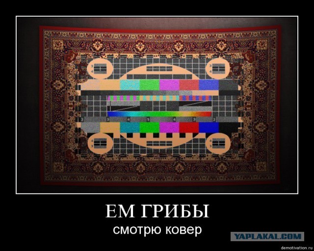 Мир ковра.