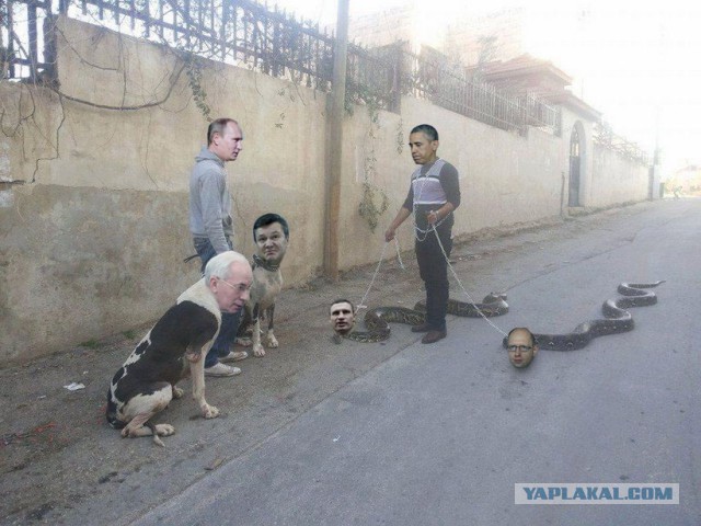 Брутальность этого снимка прямо зашкаливает