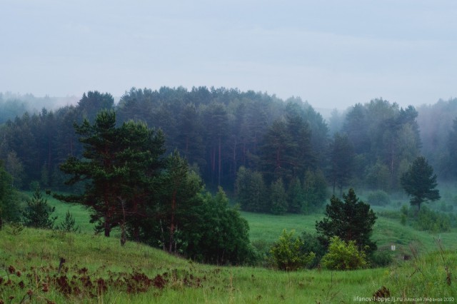 Красавец Нижний Новгород