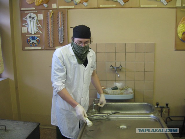 Формалин и Механизм