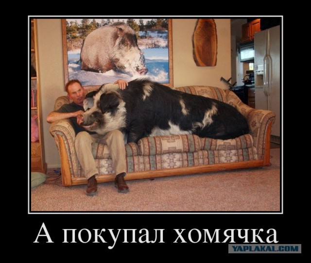 Демотиваторов пост
