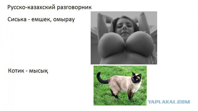 О русском языке в Республике Казахстан