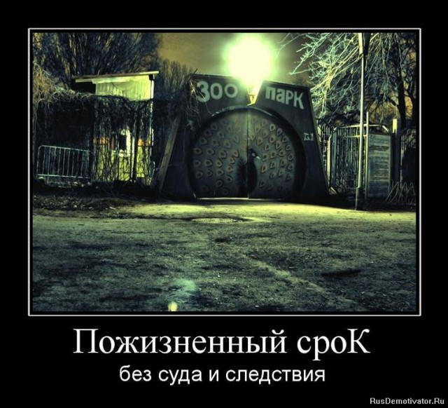 Горячие демотиваторы