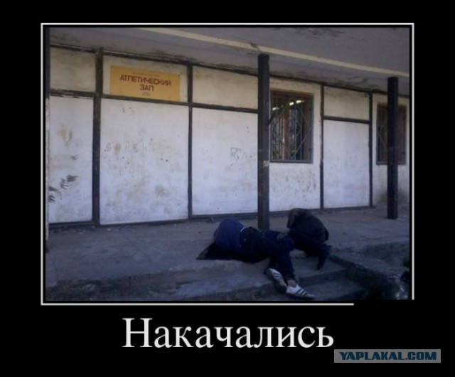 Подборка веселостей из сети