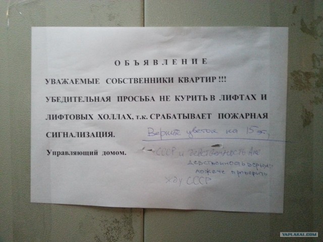 Душевные соседи