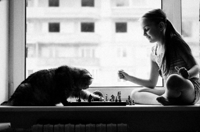 Дети и коты