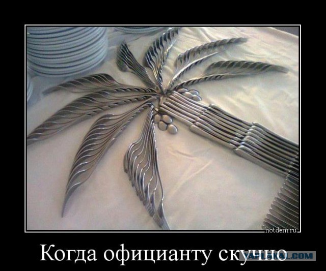 Подборка интересных и веселых картинок