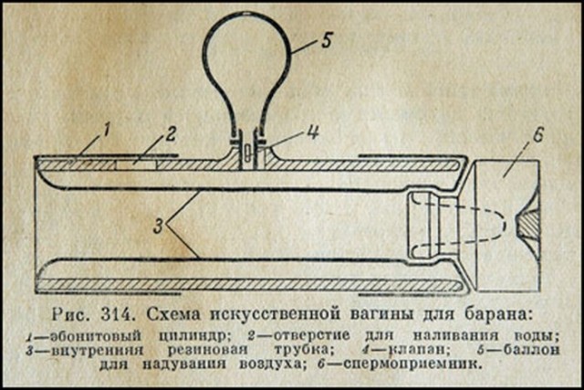 ИНСТРУКЦИИ, правила, мануалы, рецепты и т.п.