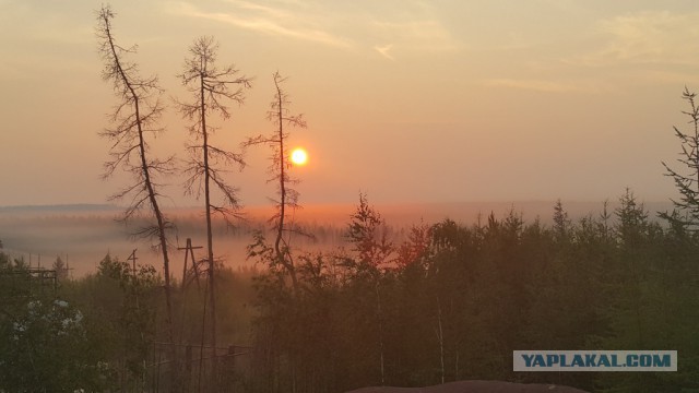 Картинки для отдыха глаз