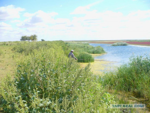 Степи Казахстана