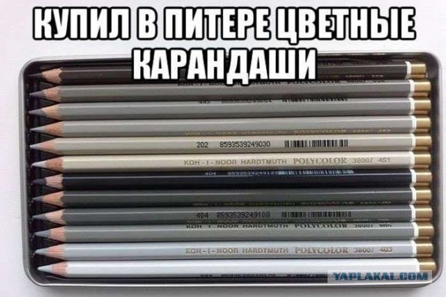 Порция картинок из сети