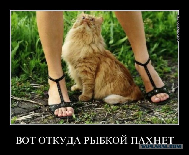 Женщина не может так хорошо пахнуть