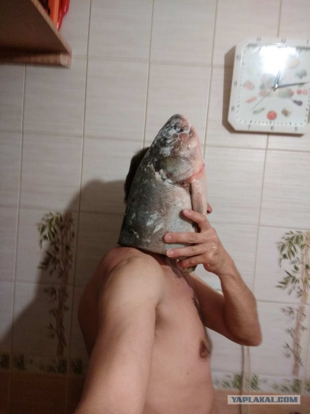 Капитану вечного счастливого плавания